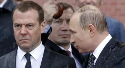 Ведмеді? Чи все ж таки гієни?