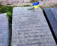 Останній кошовий