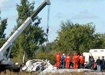 Відповідальність за авіакатастрофи взяло ісламістське угруповання
