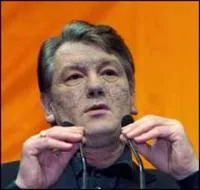 Толерантна республіка в якості беззахисної ганчірки