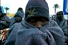 Статус відстойника для мігрантів закріплено