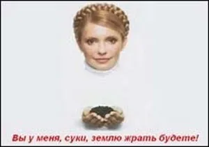 Рейтинги Партії регіонів і БЮТ майже порівнялися - соцопитування