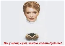 	 "Вихваляння Жириновським політики Тимошенко означає пряму загрозу для України" - Ляпіна