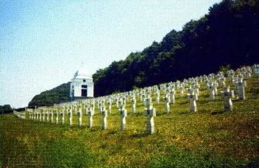 Урочистості з нагоди відзначення битви під Бродами