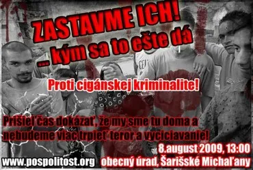 Поліція Словаччини жорстоко придушила антициганський мітинг
