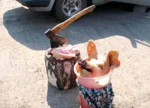 Теорія і практика 