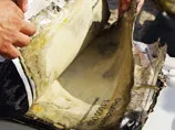 Дивовижна знахідка на чорноморському дні 
