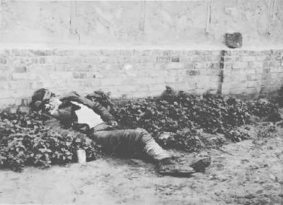 ГОЛОДОМОР 32-33. 10 000 000 ВБИТИХ УКРАЇНЦІВ! ПАМ’ЯТАЙ, НАС ХОТІЛИ ЗНИЩИТИ! 