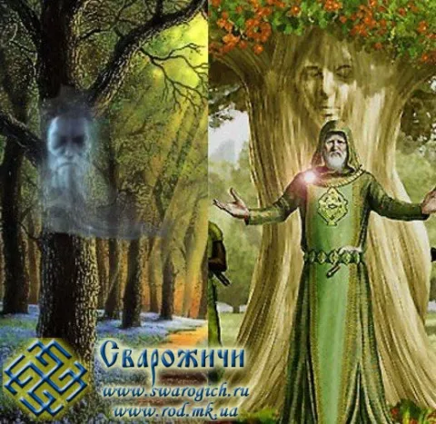Живі душі дерев