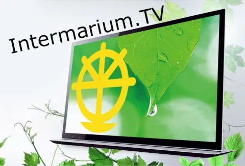 Intermarium-TV - телемережа продуктивного спілкування
