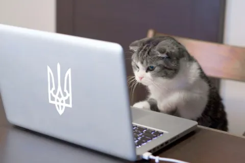 Створення та просування сайтів в Івано-Франківську по доступним цінам!