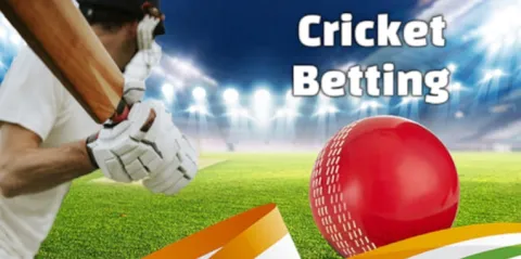 Why CricketBet24.com Is the Perfect Platform for Online Betting in India
