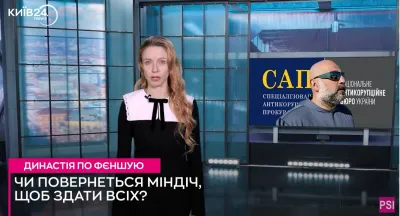 Політичний психолог Олена Вострова