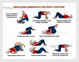 7 вправ для попереку