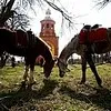 На Верхній Хортиці господарюватимуть юні козаки