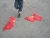  День народження Шухевича у Запоріжжі. Дія (відео)