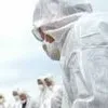 Іспанська черниця викрила «свинячий грип»