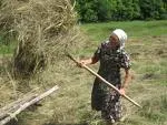 Нетолерантні французькі фермери-провокатори завалили сіном вхід у резиденцію Саркозі