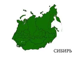 «Сибіру необхідна незалежність, так як цей регіон унікальний в географічному, економічному і культурному плані» 