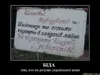 У Кембриджі почали викладати українську мову