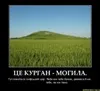 Бердянська прокуратура порушила справу за фактом опору трудящих податковим міліціонерам