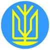 Конституційні Збори України: правила скликання і мандат делегата 