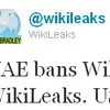 Сайт Wikileaks отримав сотні “дзеркал”