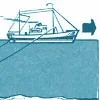 У Чорному морі залишилось лише три види риб