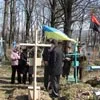 «Розрита могила»