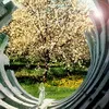 Живе Слово: 6 вересня – колективна молитва за Україну