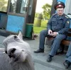 У МВС половина софту є піратським. Пора робити обшуки і вилучати сервери?