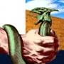 Сироїдіння і вегетаріанство ВООЗ внесла до списку психічних розладів