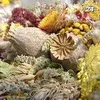 14 серпня - свято Маковія або медово-маковий Спас