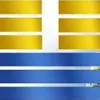 Марш Правого шляху у Львові 25 листопада під жовто-блакитними прапорами у супроводі чорно-жовтого дракона!