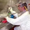 Ось така зараза