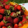 Рецепт успіху сільського кооперативу Або як спільною працею можна не лише врятувати село, а й вийти на міжнародний рівень 