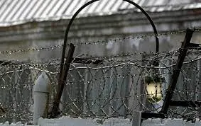 У цій підбірці інформаційних статей, експертка Наталя Гурковська поступово розкриває засади міжнарод