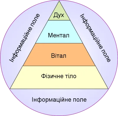 Ми. Суспільство. Всесвіт.
